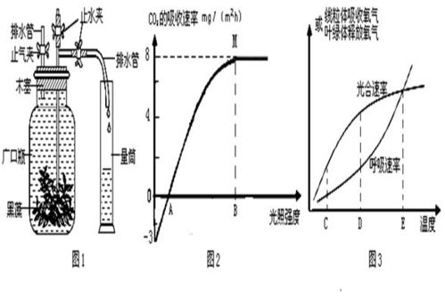 一飛船在某行星表面附近沿圓軌道繞該行星飛行.認(rèn)為行星是密度均勻的球體.要確定該行星的密度.只需要測量 a.飛船的軌道半徑 b.飛船的的運(yùn)行速度 c.飛船的運(yùn)行周期