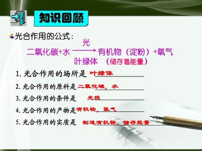 最新人教版初一七年級生物下冊綠色植物的呼吸作用精品ppt課件