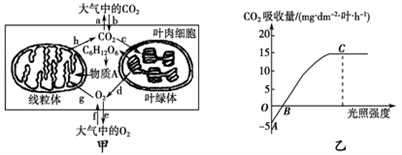 小麥植株進行光合作用和呼吸作用的最適溫度分別為25℃和30℃。下圖甲為小麥葉肉細胞中的部分代謝示意圖;圖乙是在CO2濃度一定、環(huán)境溫度為25℃、不同光照強度條件