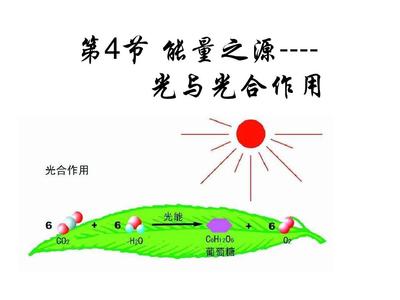 第4節(jié) 能量之源--光與光合作用公開(kāi)課PPT_word文檔在線閱讀與下載_無(wú)憂文檔