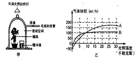 下圖為在一定條件下研究光照強(qiáng)度對(duì)植物光合作用的影響的變化曲線,回答下列問(wèn)題 青夏教育精英家教網(wǎng)