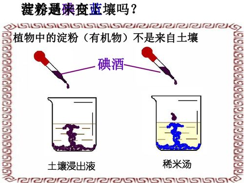 第5節 光合作用下載 生物
