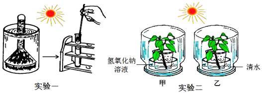 某學校生物科技活動小組的同學們對&ldquo;環(huán)境因素對光合作用強度的影響&rdquo;,設計了如下A、B兩組實驗: