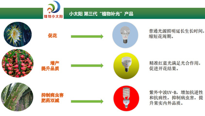 聚焦反季高效栽培，科技賦能海南火龍果產業——2020海南火龍果反季節種植管理研討會圓滿舉行