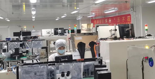 攜手并進，共譜華章——瑞谷光網與華為合作的質量績效與體系建設雙豐收